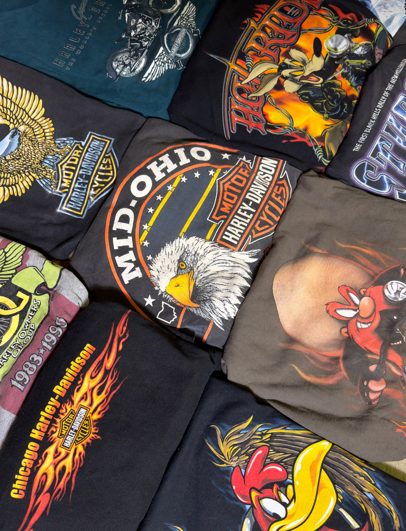 Harley Davidson / Biker