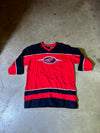Detroit Red Wings Raglan Style Shirt-L